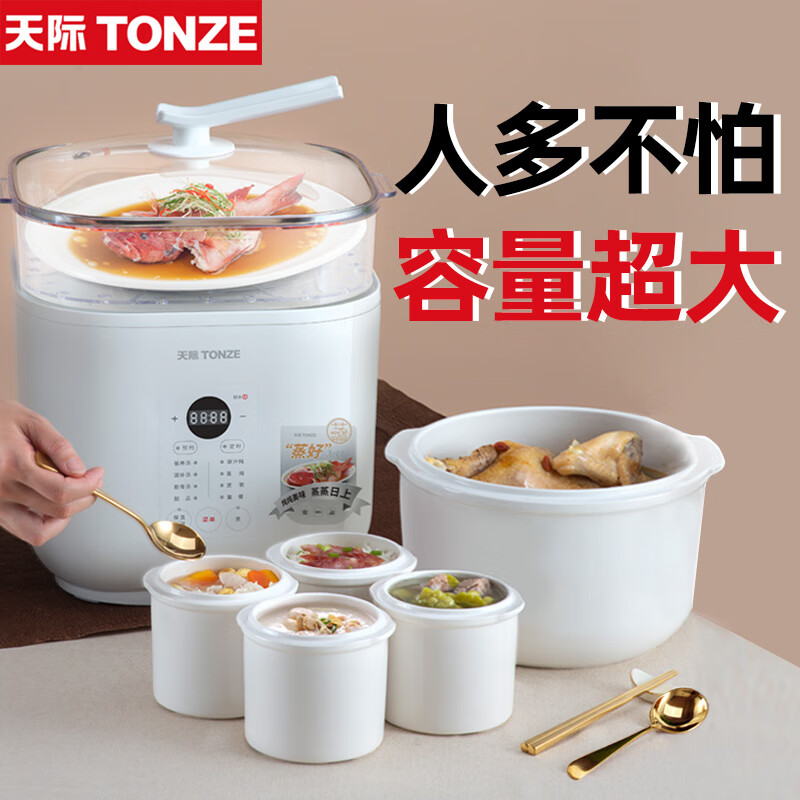 天际（TONZE） 蒸汽炖锅电炖锅 电炖盅隔水炖家用全自动炖汤煲汤锅陶瓷煮粥燕窝DGD55-55AG