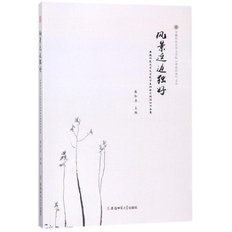风景这边独好 戴和圣 【正版书籍】