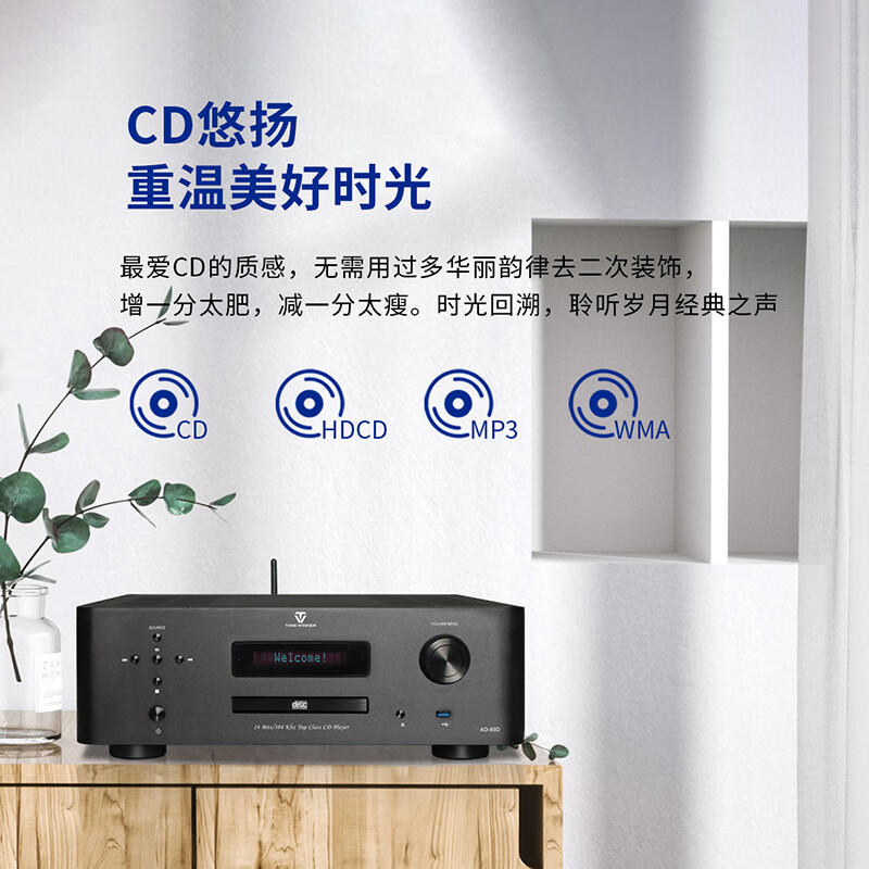 天逸（Winner） AD-89D合并式HIFI解码功放机发烧级立体声高保真HIFI组合  AD-89D
