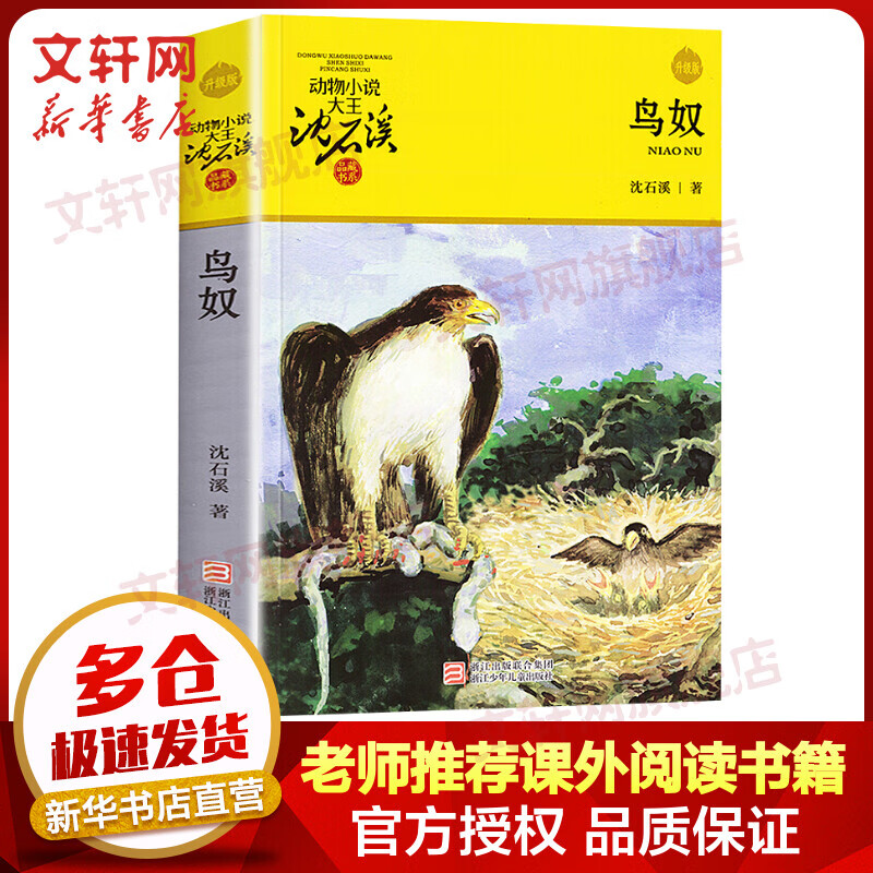 鸟奴 升级版 动物小说大王沈石溪品藏书系