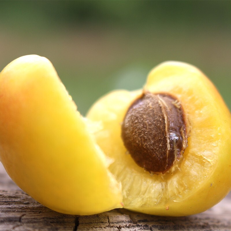 【京选优品】【顺丰发货】新疆小白杏 精选3斤装