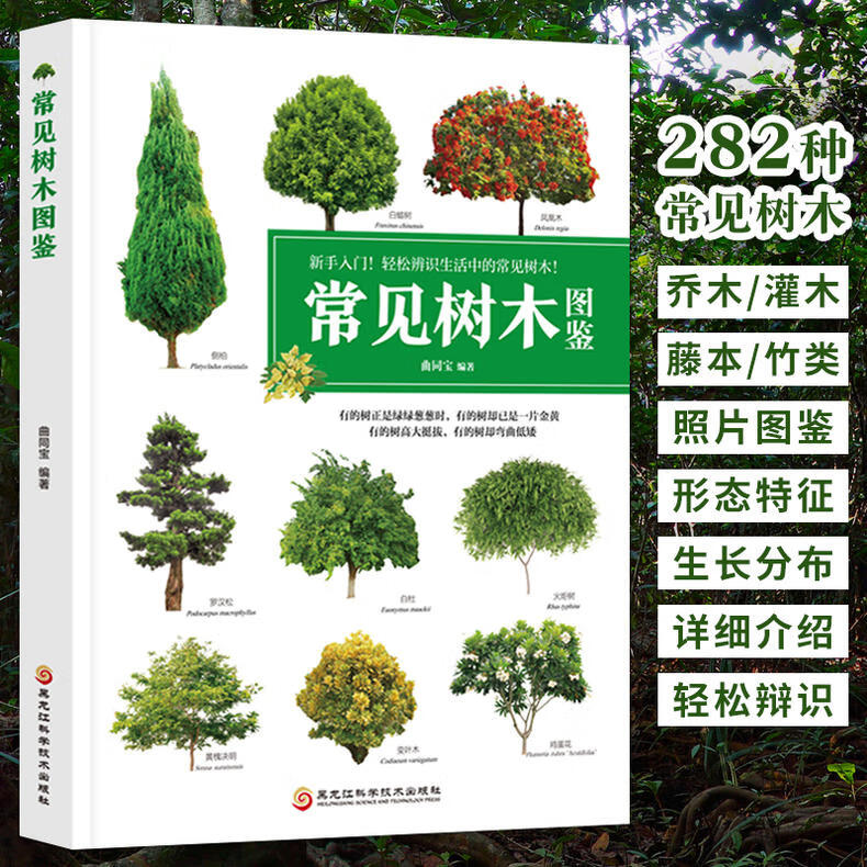 【包邮】常见树木图鉴新手入门轻松辨识282种常见树木图书籍 常见树木