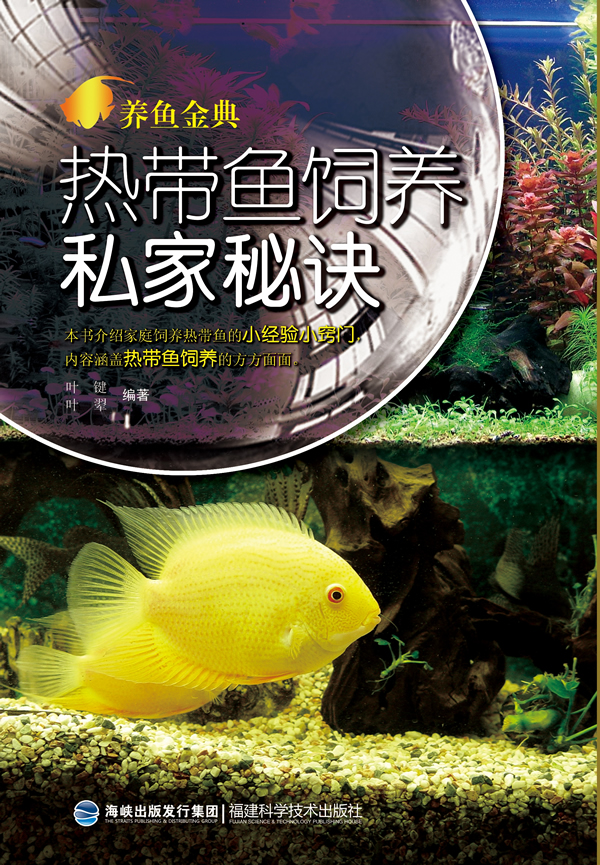 养鱼金典【正版图书】