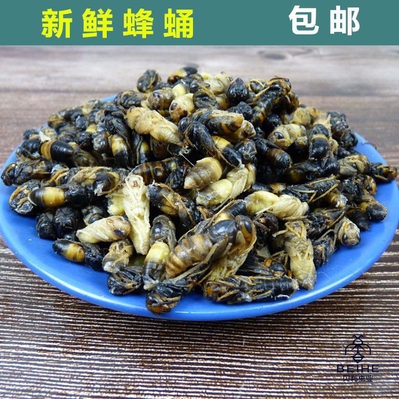 食怀野生活体马蜂蛹雄蜂蛹500g虎头蜂蜂蛹黄蜂蛹泡酒新鲜速冻蜂蛹幼虫