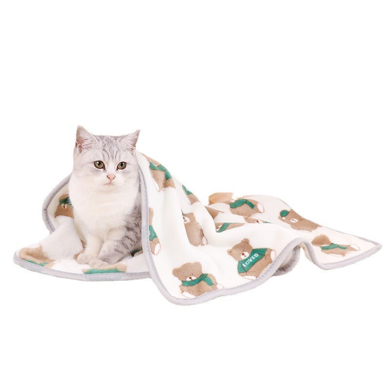 宝贝故事（BABY STORY） 猫毯子 保暖宠物毛毯保暖猫咪毛毯冬季猫被子可爱宠物毯子 白色毛毯 S（40*60cm）