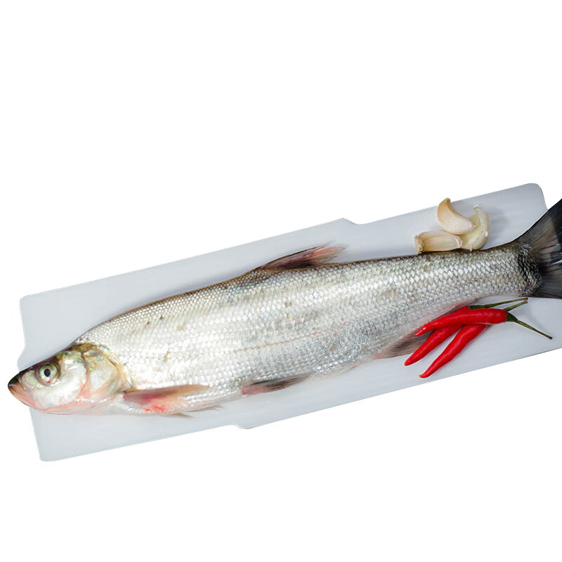 子鱼新鲜鱼鲜活现杀现发荆州松滋特产 一鱼规格杀了洗干净真空加冰发