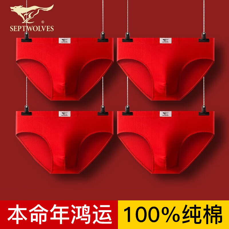 🌟最全面的价格趋势分析，附带折扣码！