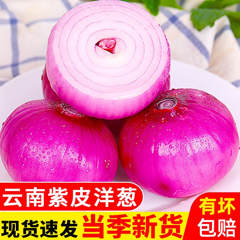 言片光 云南新鲜洋葱紫红皮洋葱精选果新鲜蔬菜 5斤装【爆卖推荐】