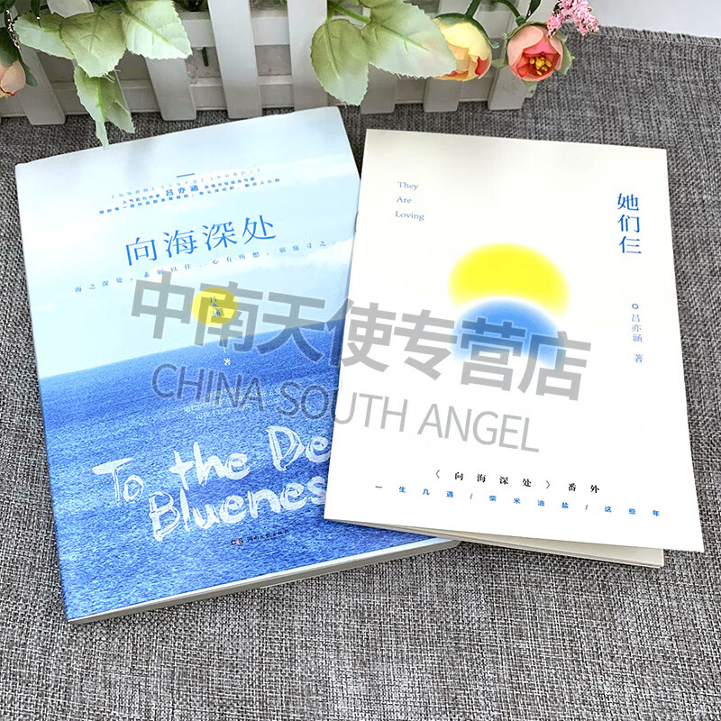 【官方自营 吕亦涵2本合集 向海深处 有故事的人 豪门悬疑爱情青春