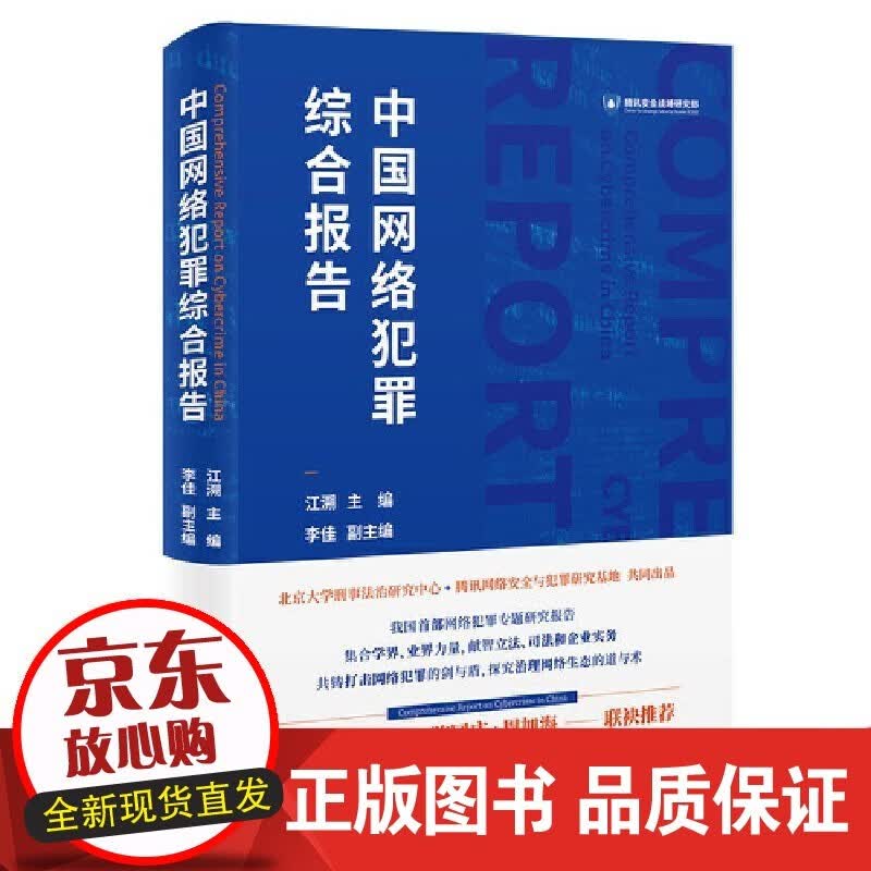 中国网络犯罪综合报告正版