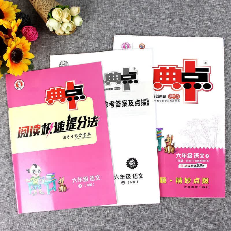 典中点一二三四五六年级上册人教版语文数学英语同步练习册 六年级上册 语文 人教版+数学 北师大