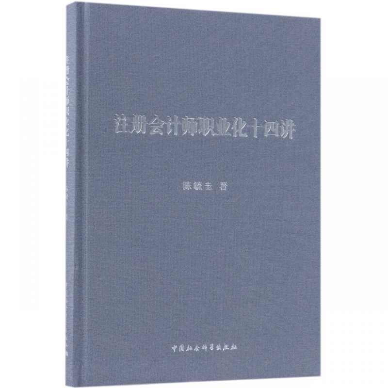 注册会计师职业化十四讲(精)