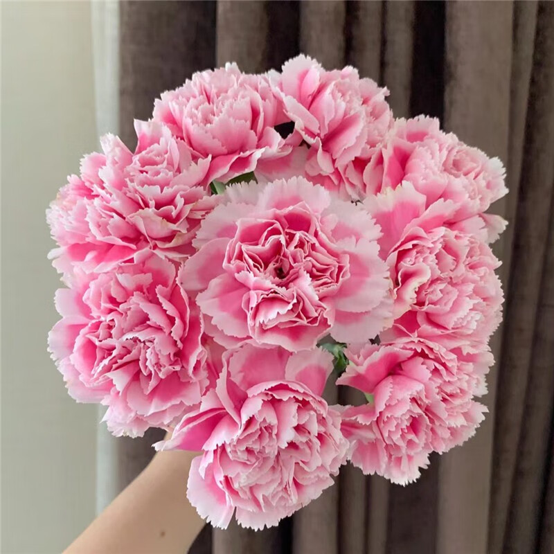生活鲜花商品的历史价格查询|生活鲜花价格走势