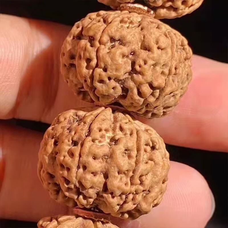 慕木阁正宗六瓣尼泊尔大金刚菩提子手串满肉原籽佛珠男女文玩 mg186 【玩家级】满肉蜜蜡款(21毫米) 【六瓣】