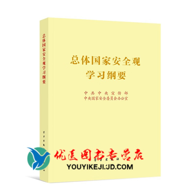 总体国家安全观学习纲要（16开） 大字本 人民出版社9787514711509