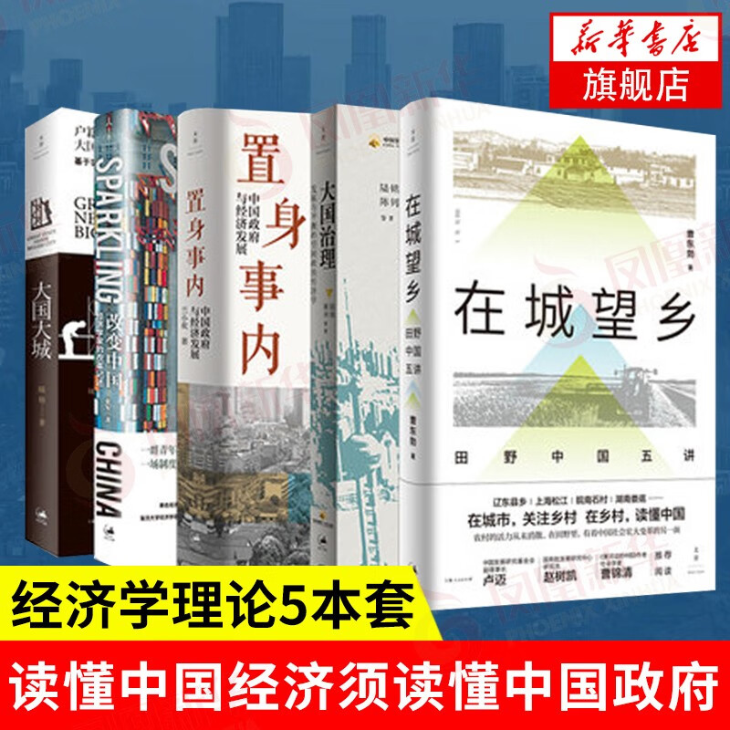 5本下单立减】置身事内:中国政府与经济发展+大国大城+在城望乡+改变中国+大国治理