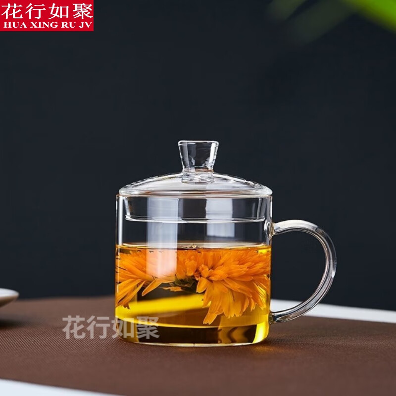 耐热新羽玻璃杯耐热办公杯家用带把带盖会议杯花茶杯绿茶泡茶评茶杯子