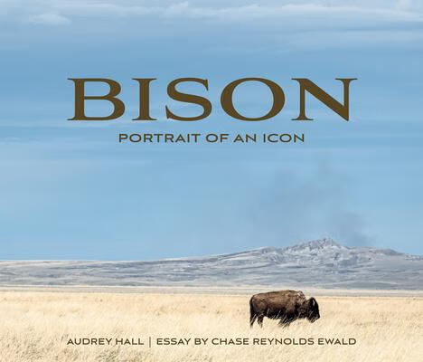 预订bison: portrait of an icon