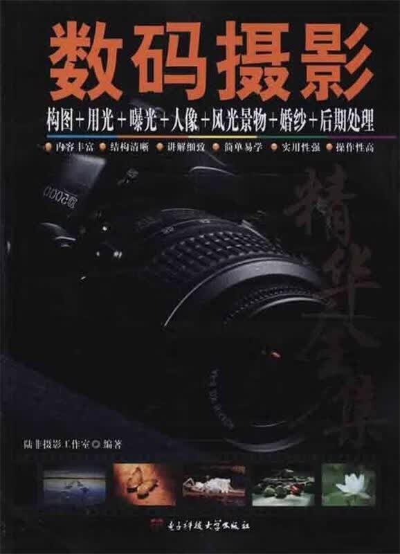 数码摄影构图+用光+曝光+人像+风光景物+婚纱+后期处理精华全集 陆非摄影工作室 编【正版】