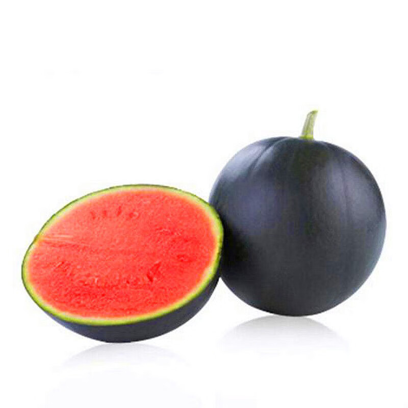 以琛黑皮无籽西瓜王子黑皮红瓤沙瓤超甜多汁抗病耐湿易坐果水果种籽