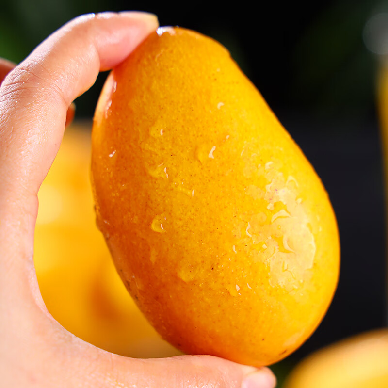 竹域海南小台农芒果新鲜当季现摘热带水果小台芒应季礼盒整箱 精选3斤