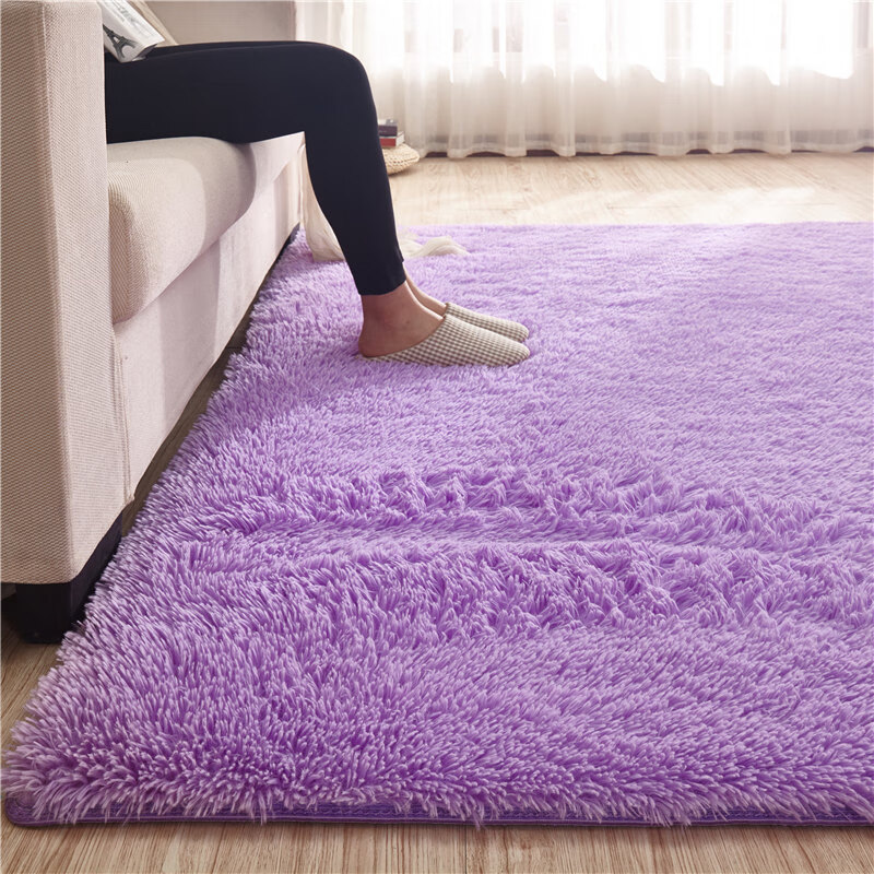 长毛加厚丝绒地毯客厅地毯茶几地毯卧室床边毯飘窗垫 淡紫色 80*160CM【长毛加厚款】