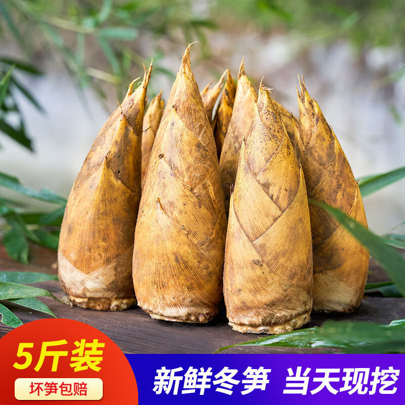 冬笋新鲜临安天目山毛竹笋当季蔬菜鲜笋嫩竹笋 3斤装