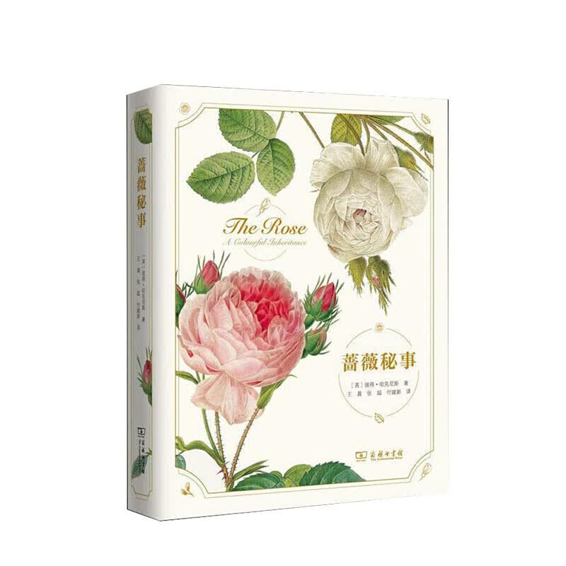 蔷薇秘事