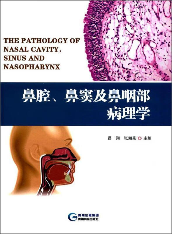 鼻腔、鼻窦及鼻咽部病理学医学鼻腔鼻疾病病理学研究人员图书