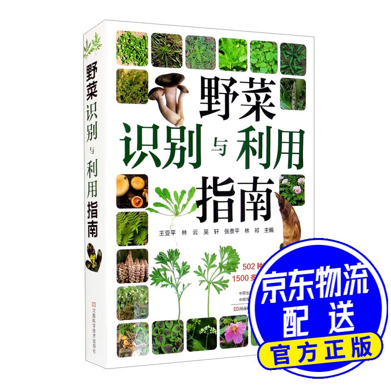 野菜识别与利用指南