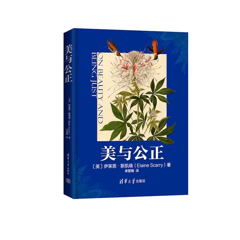 美与公正 伊莱恩·斯凯瑞 清华大学出版社