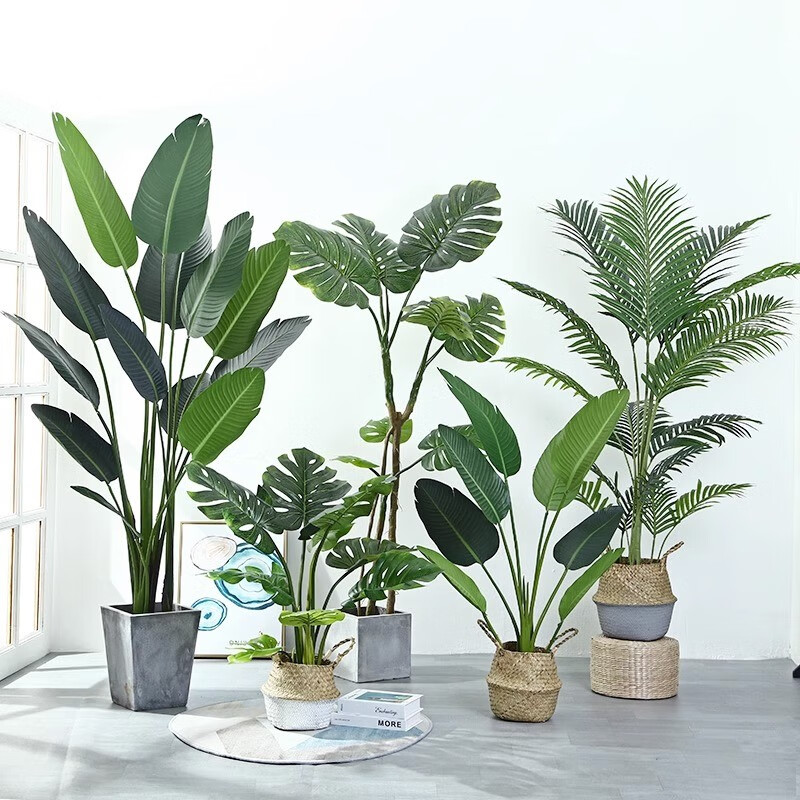 查看花瓶花艺历史价格|花瓶花艺价格走势图