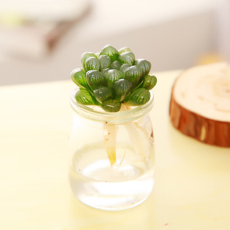 多肉水培水养多肉植物室内桌面植物水培植物玻璃瓶多肉植物组合花卉办公室肉肉盆栽1个瓶 1个多肉随机 彩石 京东优惠券 多肉水培水养多肉植物室内桌面植物水培植物玻璃瓶多肉植物组合花卉办公室肉肉盆栽1个瓶 1个多肉随机 彩石 京东优惠券