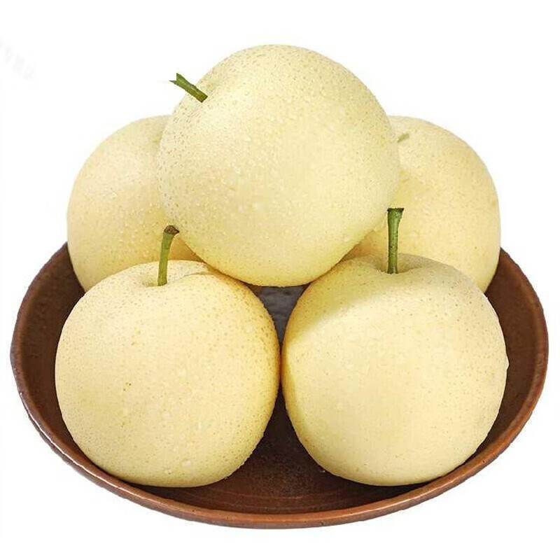 亲果力河北新鲜梨子皇冠梨应季水果脆甜多汁当季白梨雪梨 5斤
