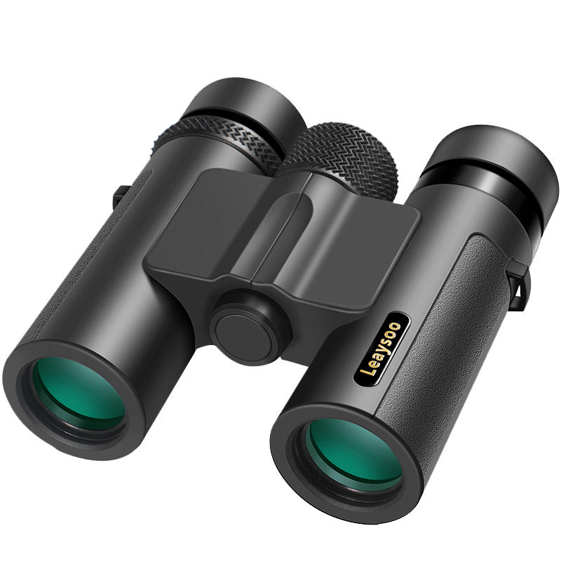 雷龙（leaysoo）索趣1S 10X26高清高倍大目镜广角演唱会户外便携双筒手机望远镜