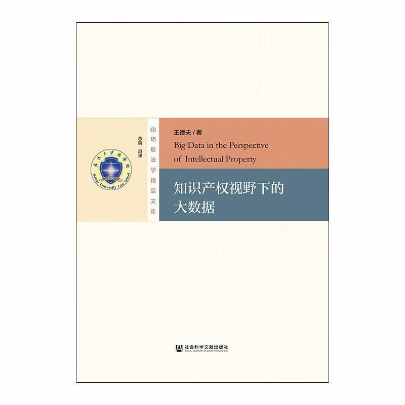 知识产权视野下的大数据 王德夫