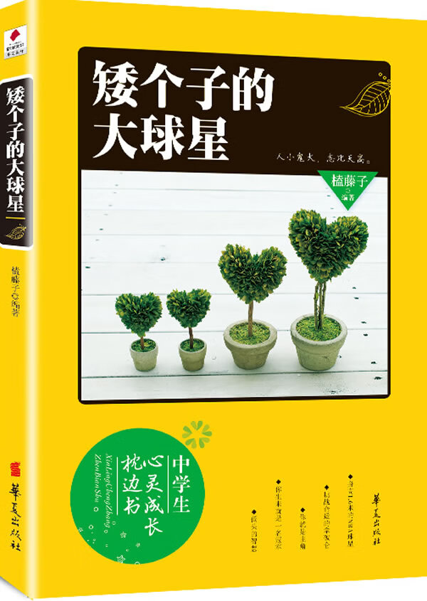矮个子的大星球 榼藤子著