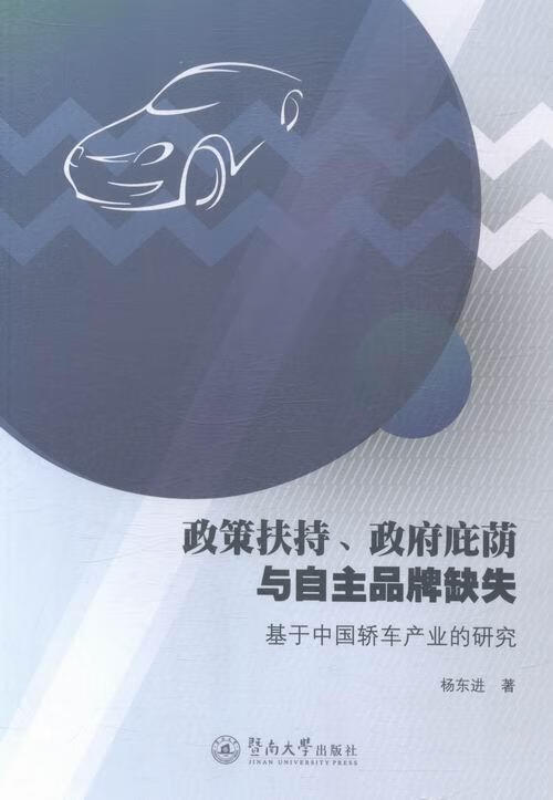 政策扶持,政府庇荫与自主品牌缺失:基于中业的研究9787566814128 杨
