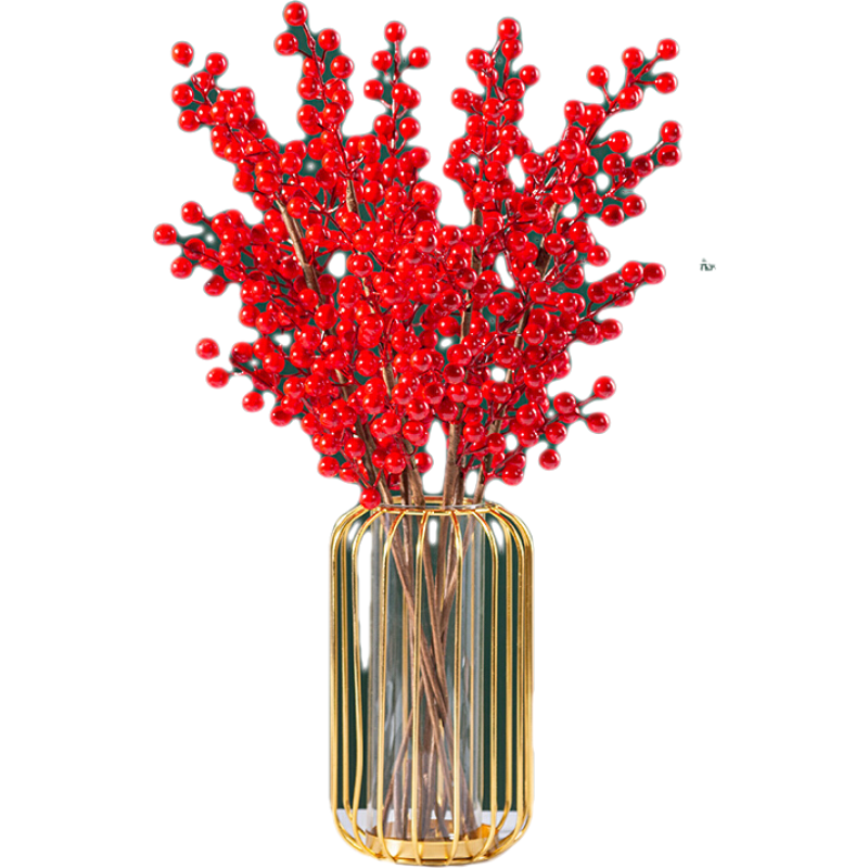 ���ѷ��������Դ�����ֲ���ӷ��������ڻ����辰�������������ֲ  ����40��50cm�� �� �� �� ����