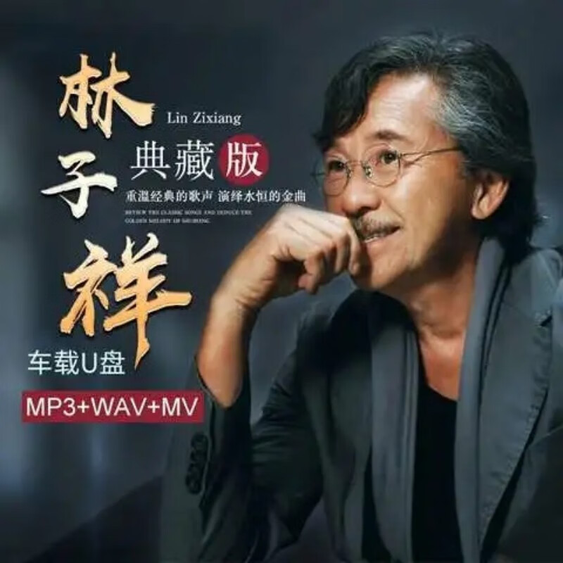 纽曼(newsmy)林子祥歌曲专辑全收录车载音乐u盘经典老歌数字人生/男儿