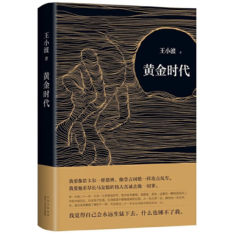 【正版现货】王小波：黄金时代（新版）