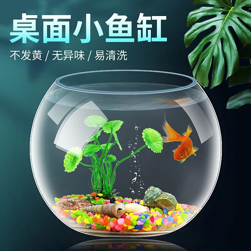 易萌 圆形玻璃鱼缸金鱼缸桌面小鱼缸斗鱼小型生态缸水培用具 中号(腰