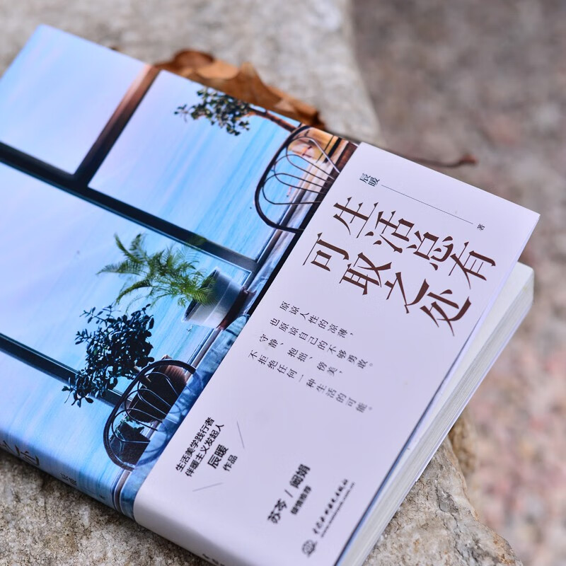 生活总有可取之处详情图