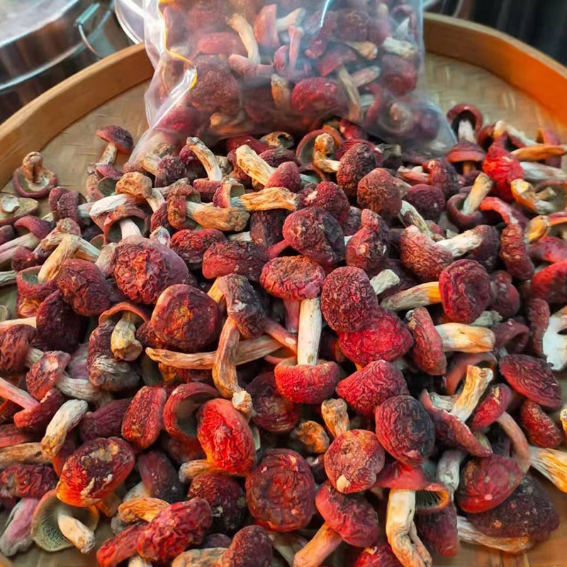 禾澹食用纯红菇干货红菇云南菌特产干香菇红蘑菇菌菇包红菇月子菇 250