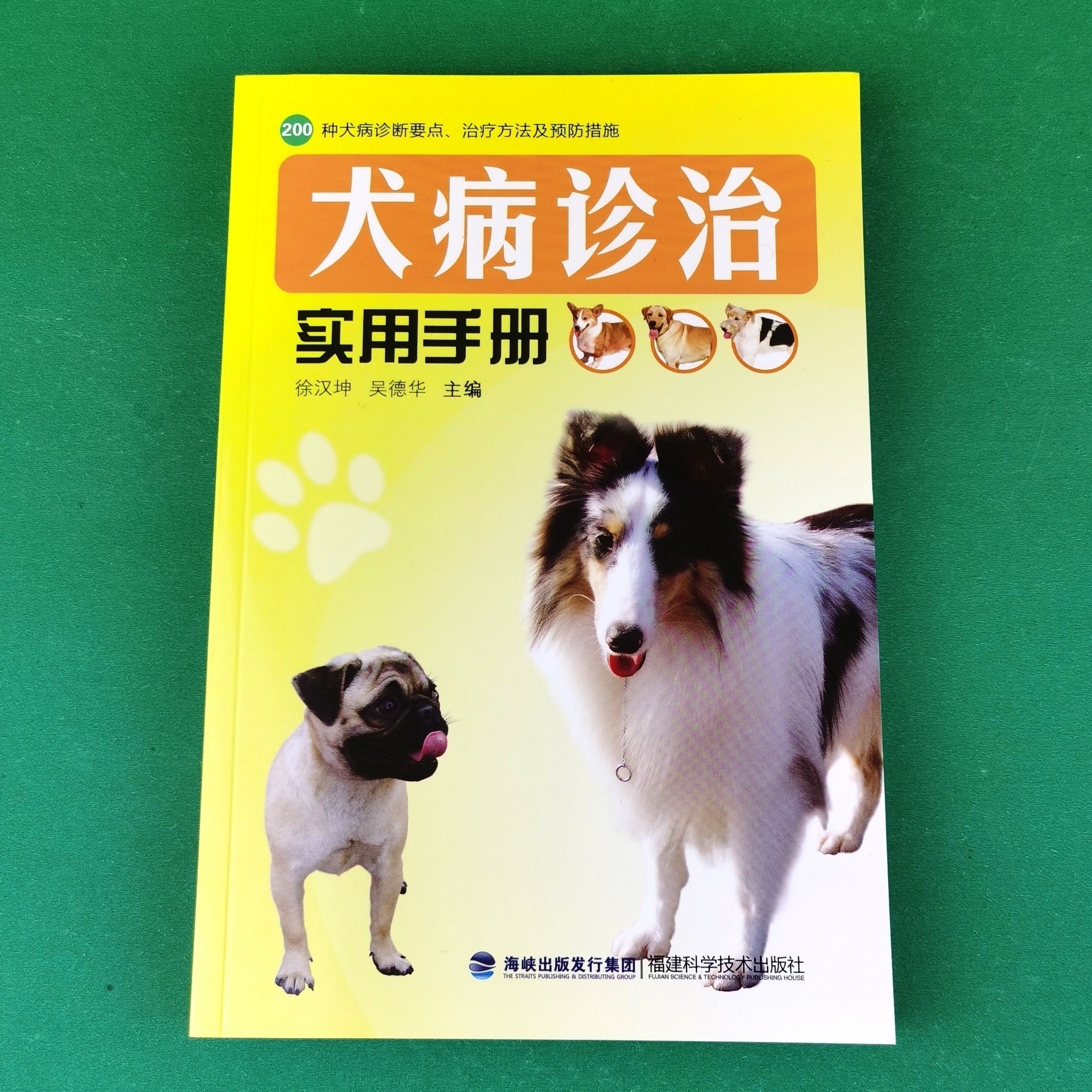 犬病诊治实用手册犬病治方法犬病诊断与治疗