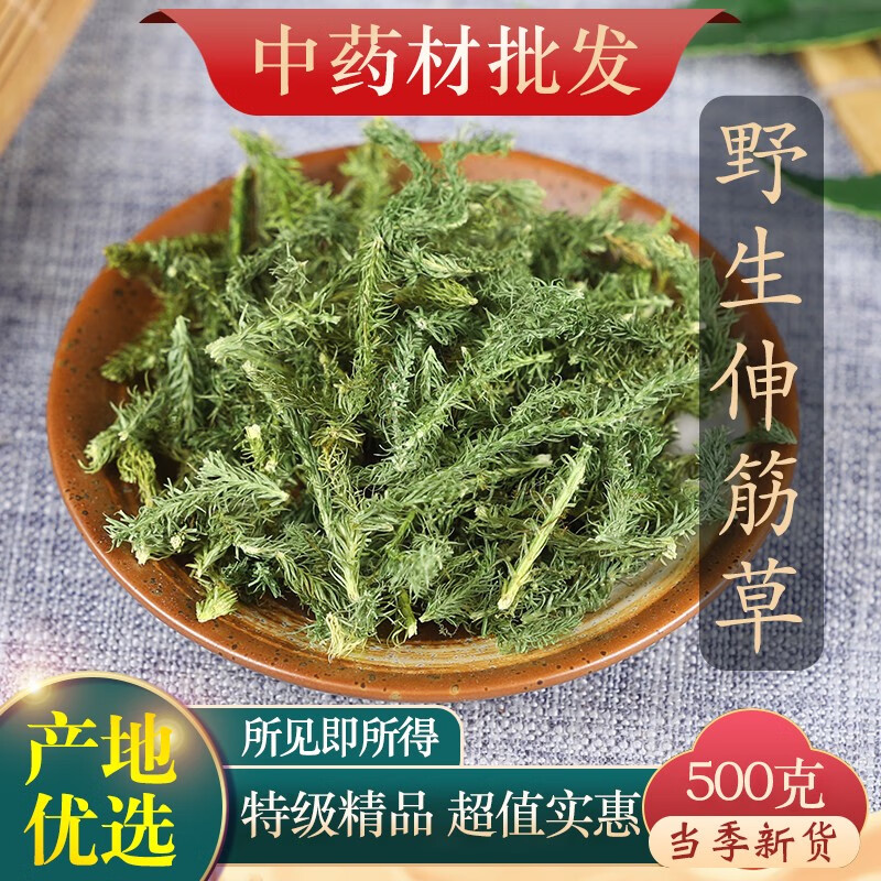 精选伸筋草 舒筋草 石松狮子尾 大伸筋草 宽筋草 500克 伸筋草500克