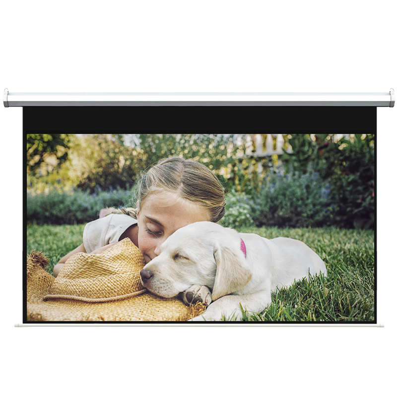 ��ӡ��綯Ļ��100Ӣ��16:10 ͶӰĻ��3D/4K����ͶӰ�Ǽ���С�׼���칫����ͶӰ��Ļ��HT1002����������