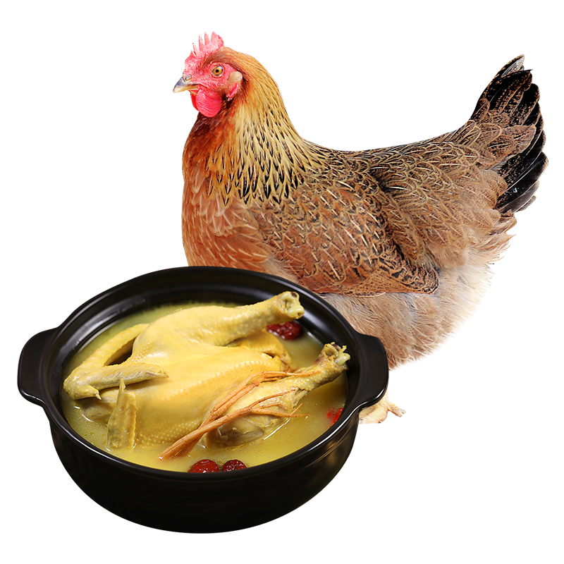 温润食品液氮清远脆皮老母鸡2.4斤 500天以上生态散养原种清远老母鸡 土鸡