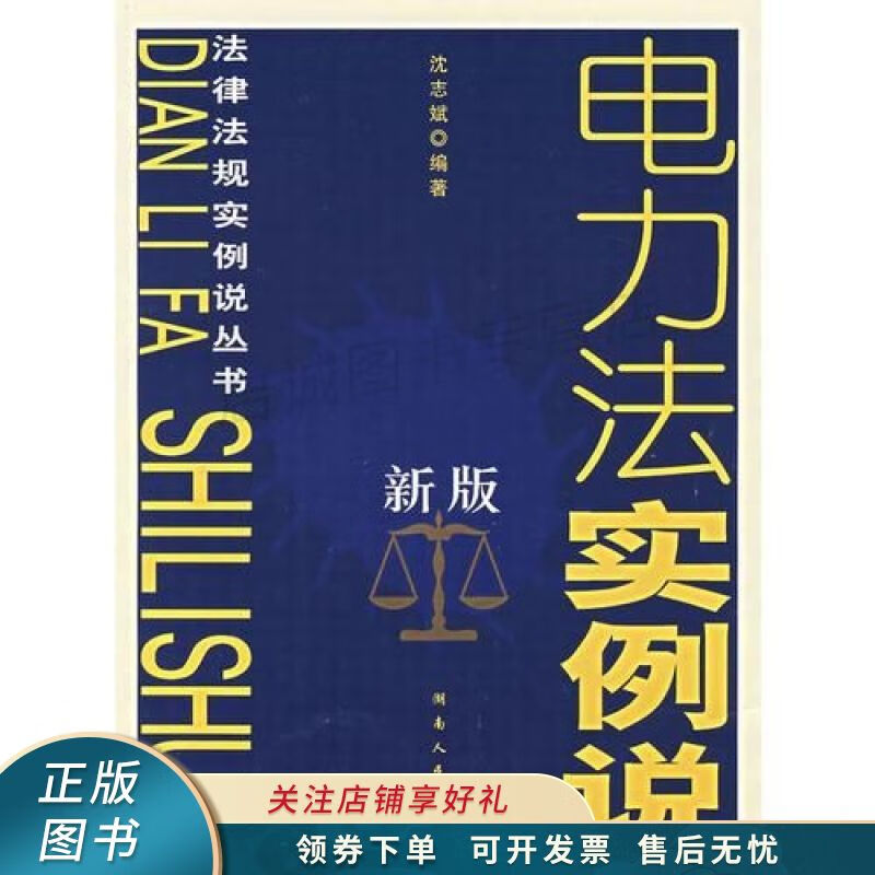 新版电力法实例说