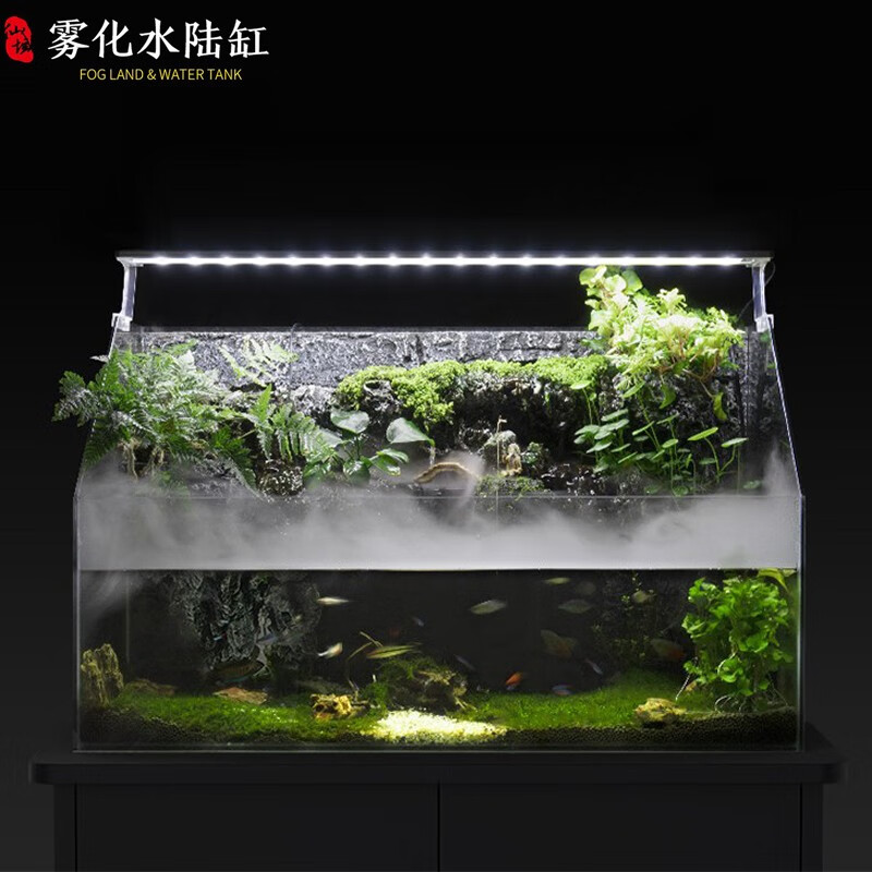 story)生态水陆缸 桌面生态鱼缸斜口缸真植造景雾化缸热带鱼溪流缸 80